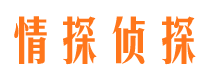 腾冲调查公司